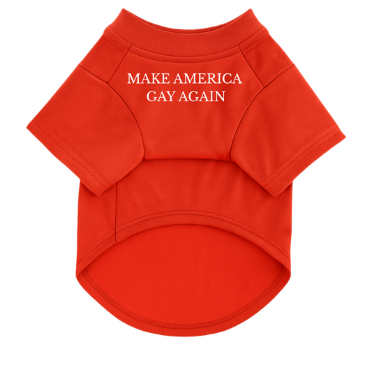 MAKE AMERICA GAY AGAIN