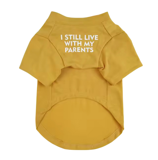 I still live with my parents